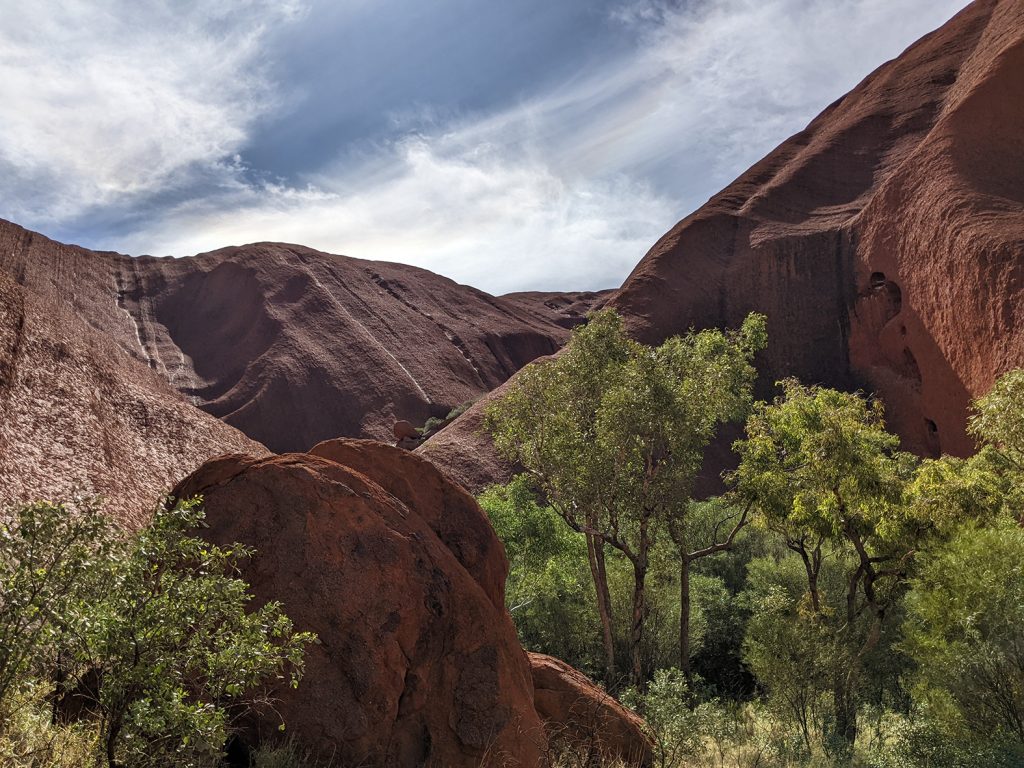 Uluru waterhole side
