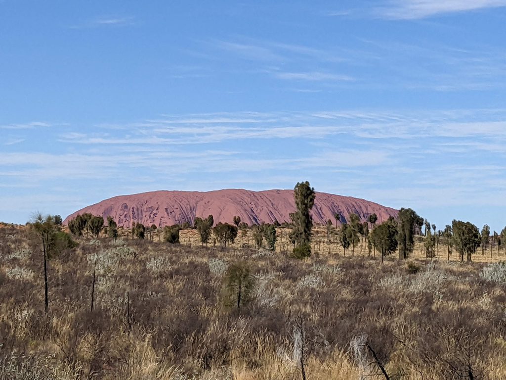 Another great view of Uluru with spinifex and desert oaks in foreground, camels view