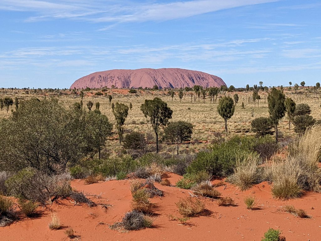 Another spectacular view of Uluru with red earth and lanscape on my camel