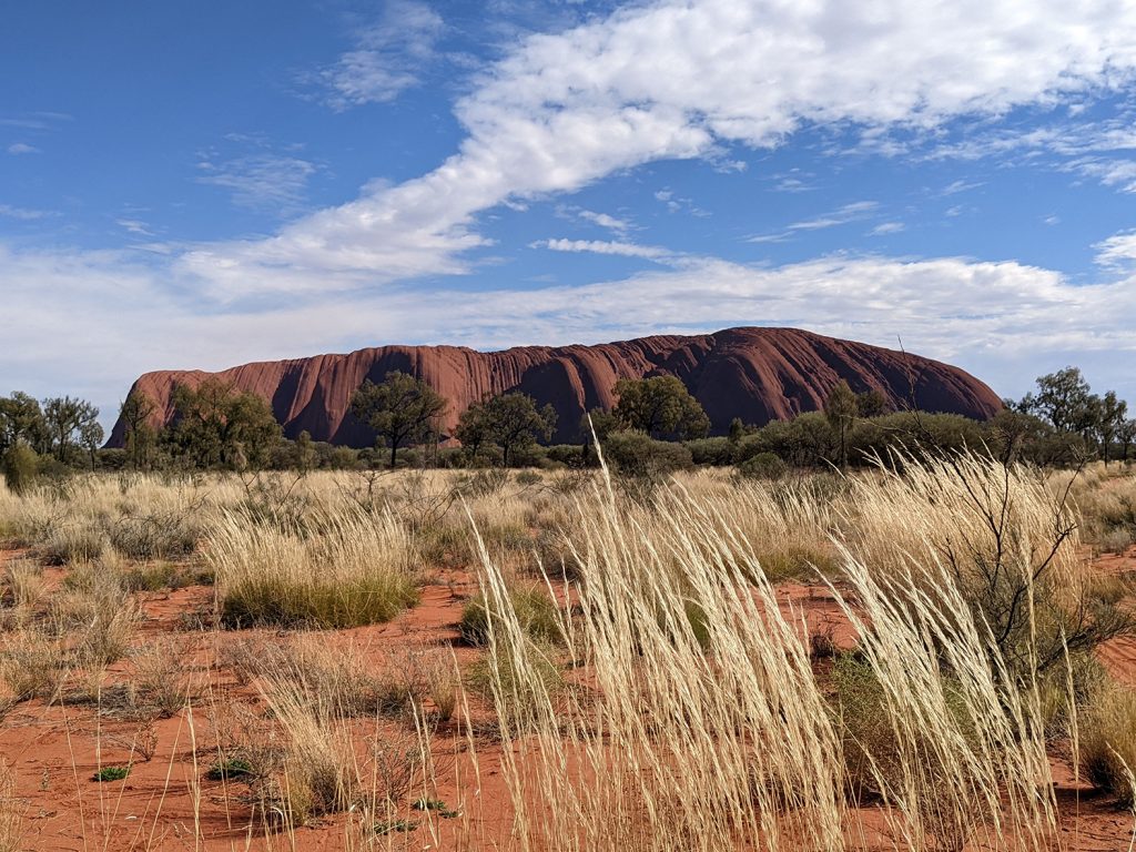 Spinifex grasses in foreground and Uluru in background Tuesday May 2023