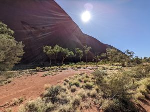 Walking around the base walk circuit trail with sun in full view next to Uluru