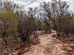 Part of trail leading to Kata Tjuta Valley of the Winds