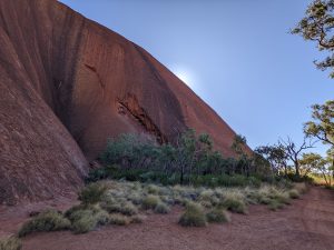 Eucalyptus trees dwarfed against the large red monolith called Uluru
