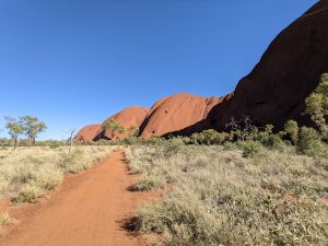 Trail looking back to see the path walked to the other end of base walk Uluru